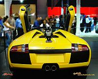 free wallpaper lamborghini teddy bear; 200x150