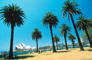 Sydney Opera House, Sydney, New South Wales, Australia