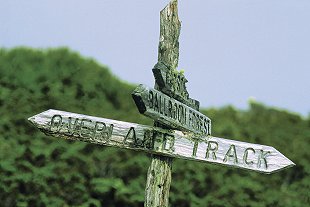 Overland track, Cradle Mountain, Lake St Clair National Park; photo Don Fuchs courtesy Tourism Tasmania