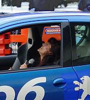 Melbourne Motor Show, stunt driving by Russ Swift