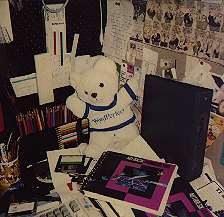 Ali Kayn's desk; alikaydeskwithbear.jpg - 12175 Bytes