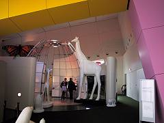 Children's Museum, Melbourne Museum, Melbourne, Victoria, Australia