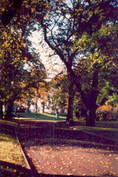 Flagstaff Gardens, Melbourne, Victoria, Australia