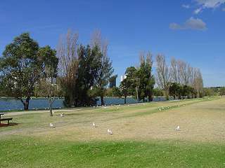 Albert Park Lake, Victoria, Australia. Photograph (c) Ali Kayn 2005