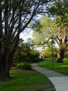 Path, Oldis Park, photograph (c) Ali Kayn 2005