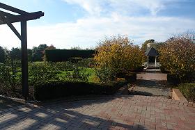 Photograph, sunken rose garden, Saint Kilda Botanical Gardens, 2010 by Ali Kayn; 280x187