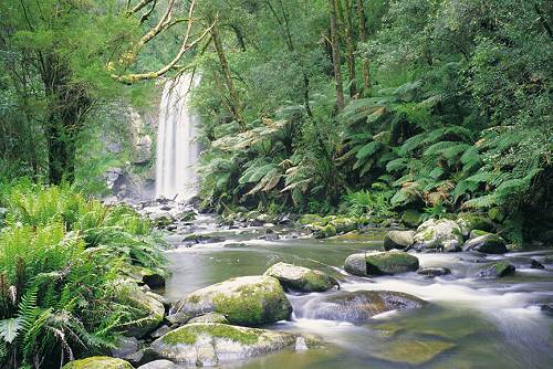 Hopetoun Falls, Beech Forest, Victoria, Australia