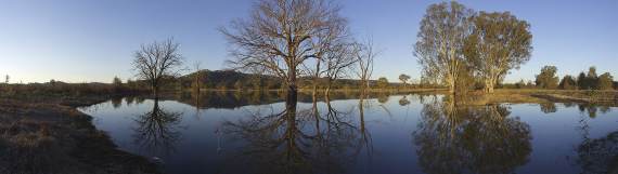 Wonga Wetlands; photo 2007 Destination Albury Wodonga